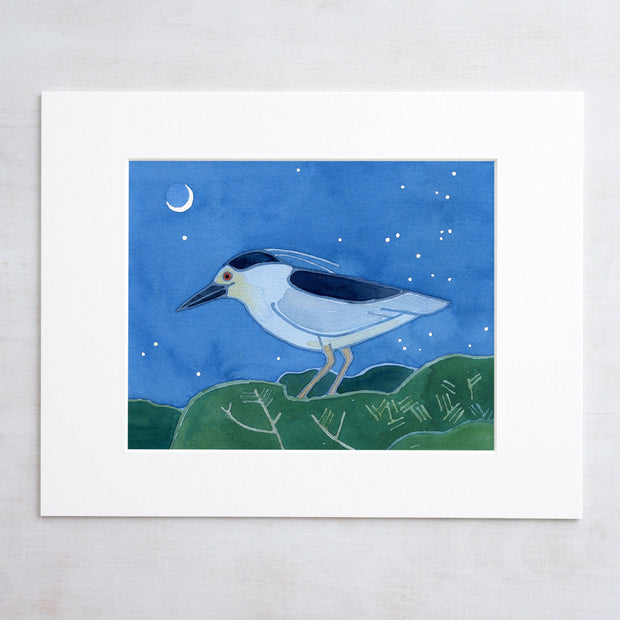 Black-crowned Night Heron Print