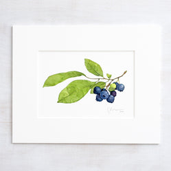Blueberries Watercolor Print: Botanical Wall Art