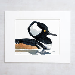 Hooded Merganser Duck Print