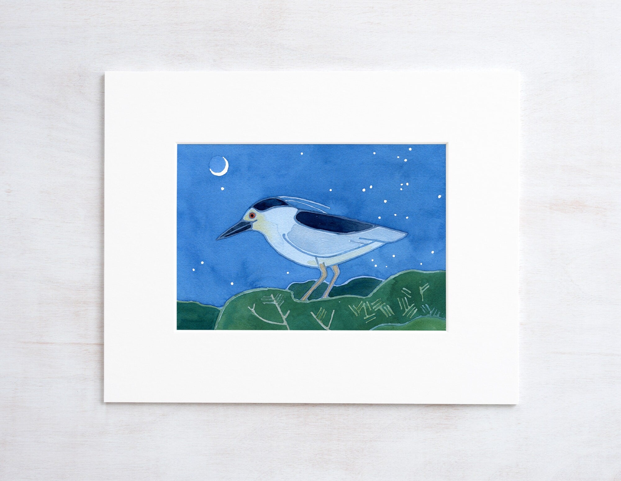 Black-crowned Night Heron Print