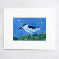 Black-crowned Night Heron Print