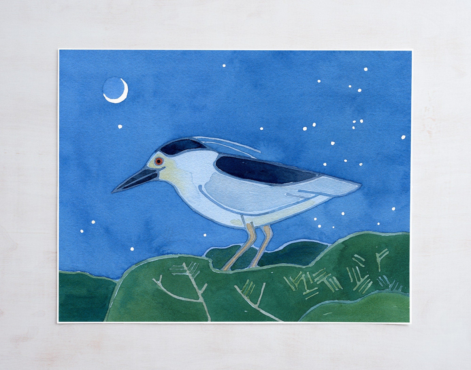 Black-crowned Night Heron Print