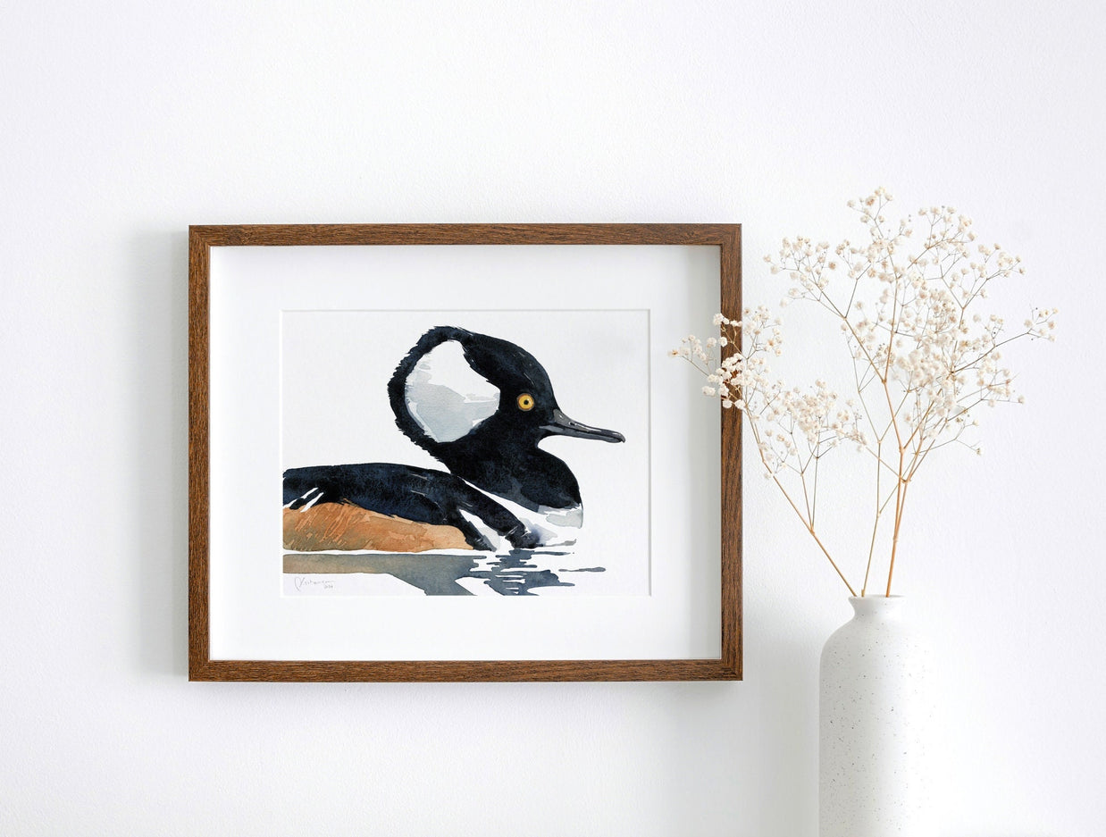 Hooded Merganser Duck Print