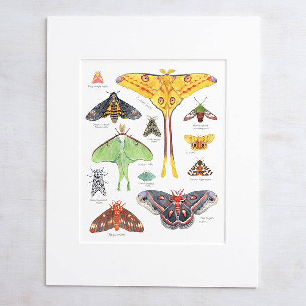 Moth Chart Print
