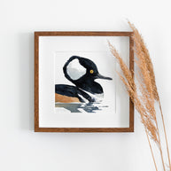 Hooded Merganser Duck Print