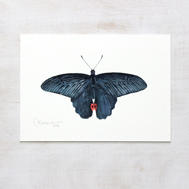 Original Spangle Butterfly Watercolor Painting