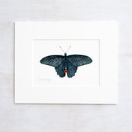 Original Spangle Butterfly Watercolor Painting