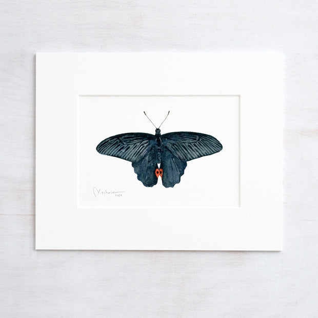 Original Spangle Butterfly Watercolor Painting