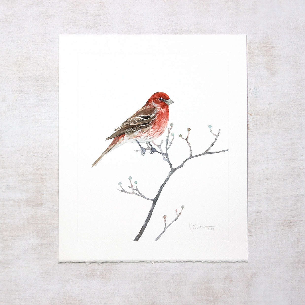 Original House Finch Painting Bird Watercolor Art