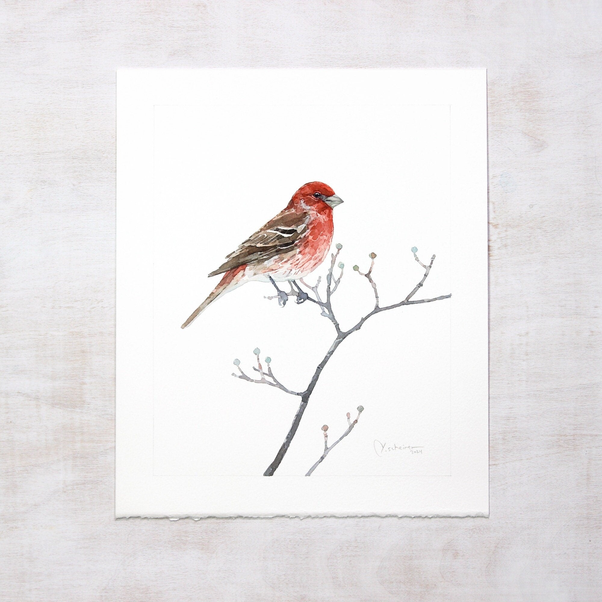 Original House Finch Painting Bird Watercolor Art