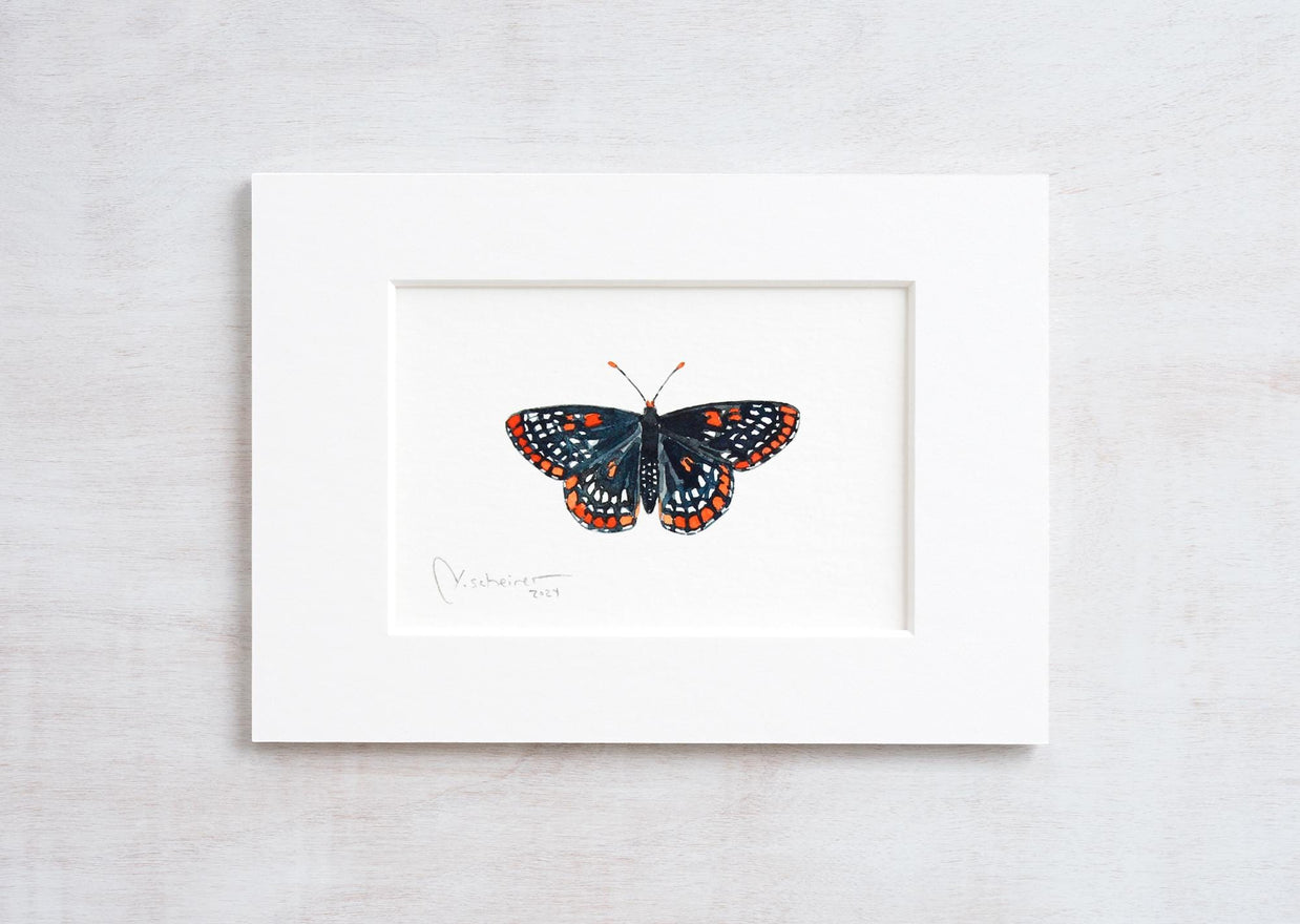 Original Baltimore Checkerspot Butterfly Watercolor Painting