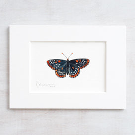 Original Baltimore Checkerspot Butterfly Watercolor Painting