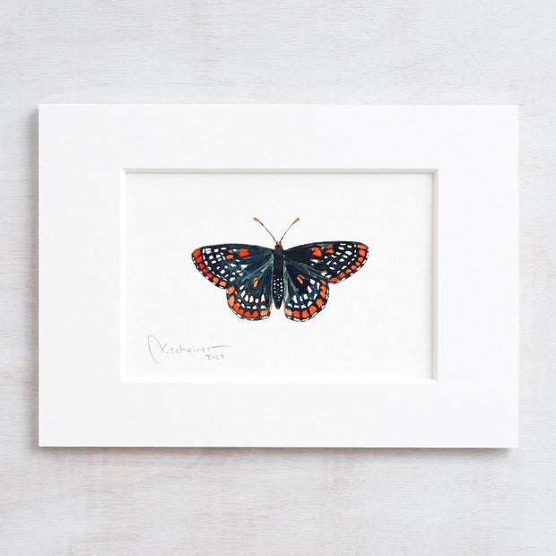 Original Baltimore Checkerspot Butterfly Watercolor Painting