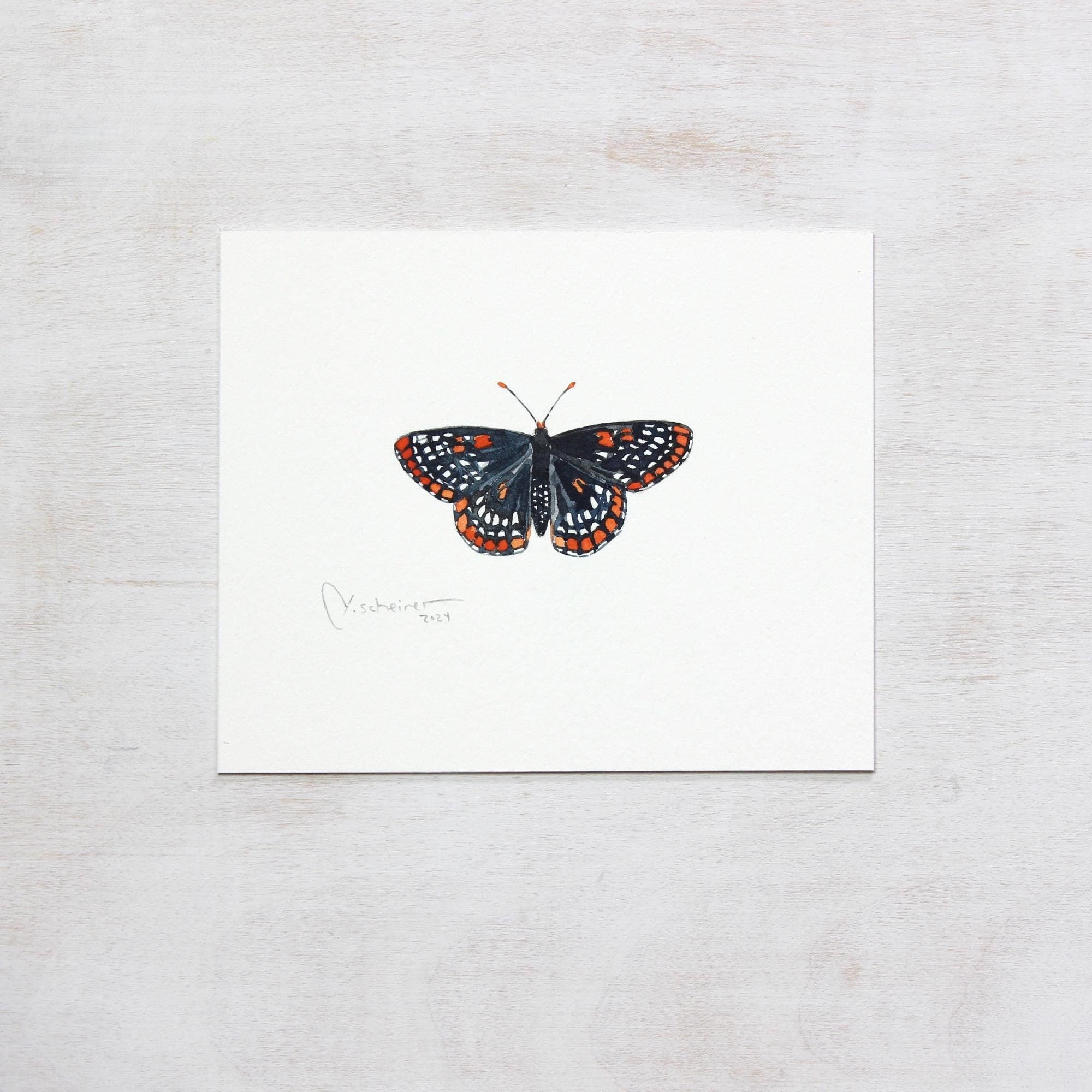 Original Baltimore Checkerspot Butterfly Watercolor Painting