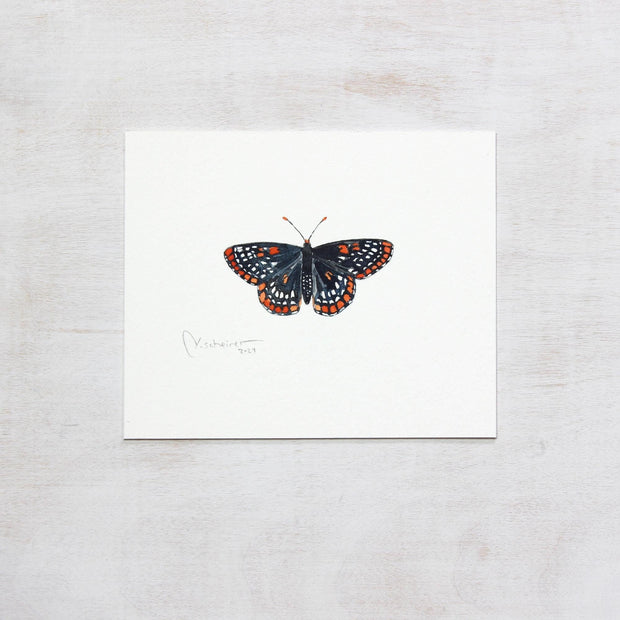 Original Baltimore Checkerspot Butterfly Watercolor Painting