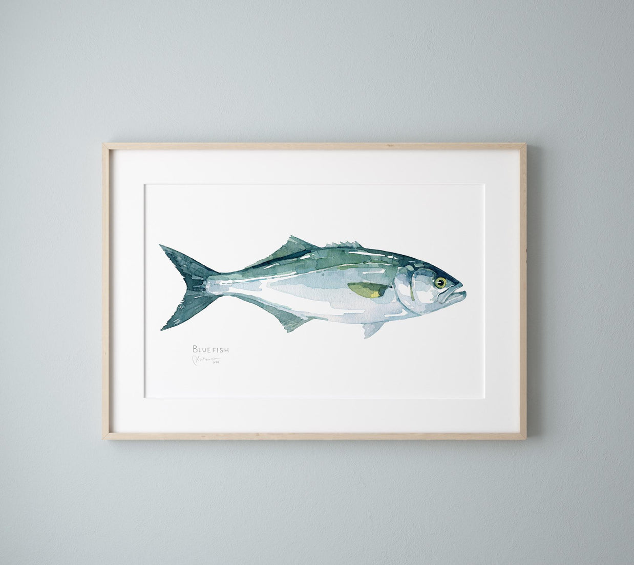 Bluefish Print