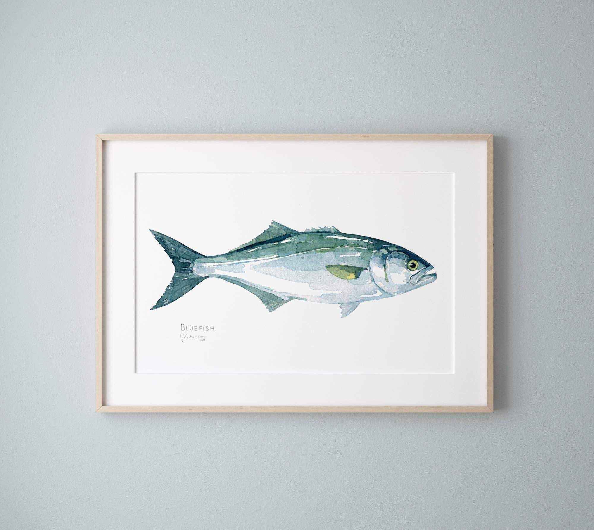 Bluefish Print