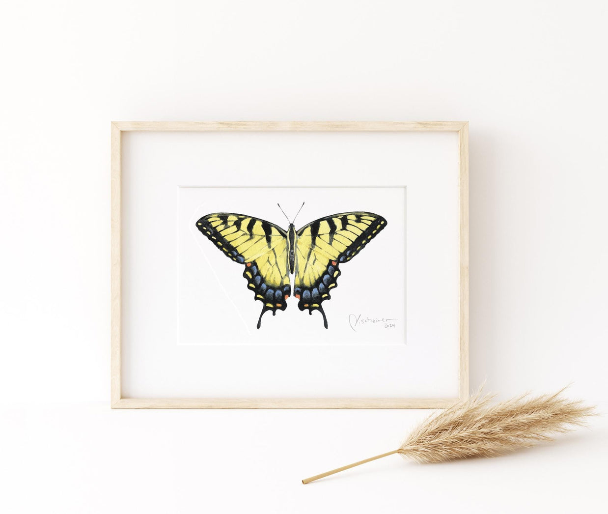 Eastern Tiger Swallowtail Butterfly Print