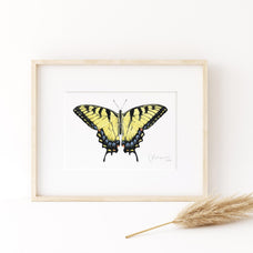 Eastern Tiger Swallowtail Butterfly Print