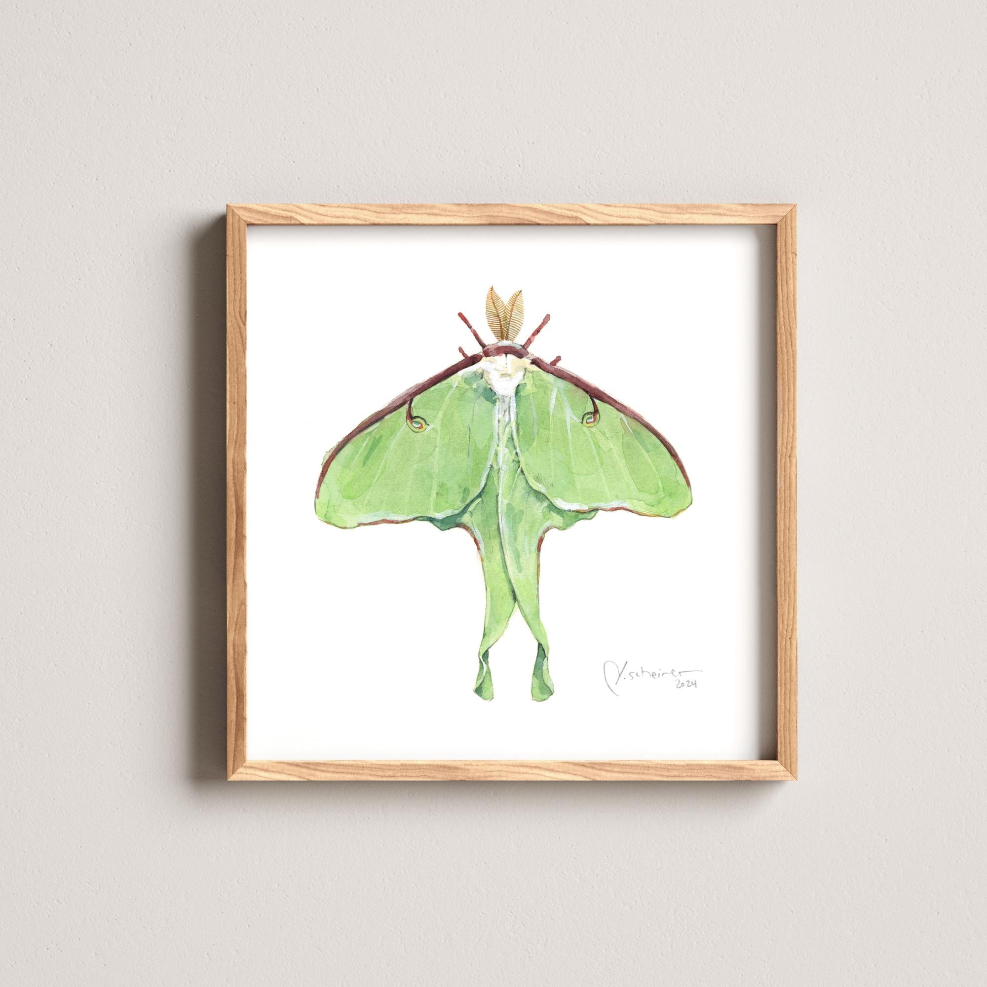 Luna Moth Print