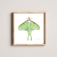 Luna Moth Print