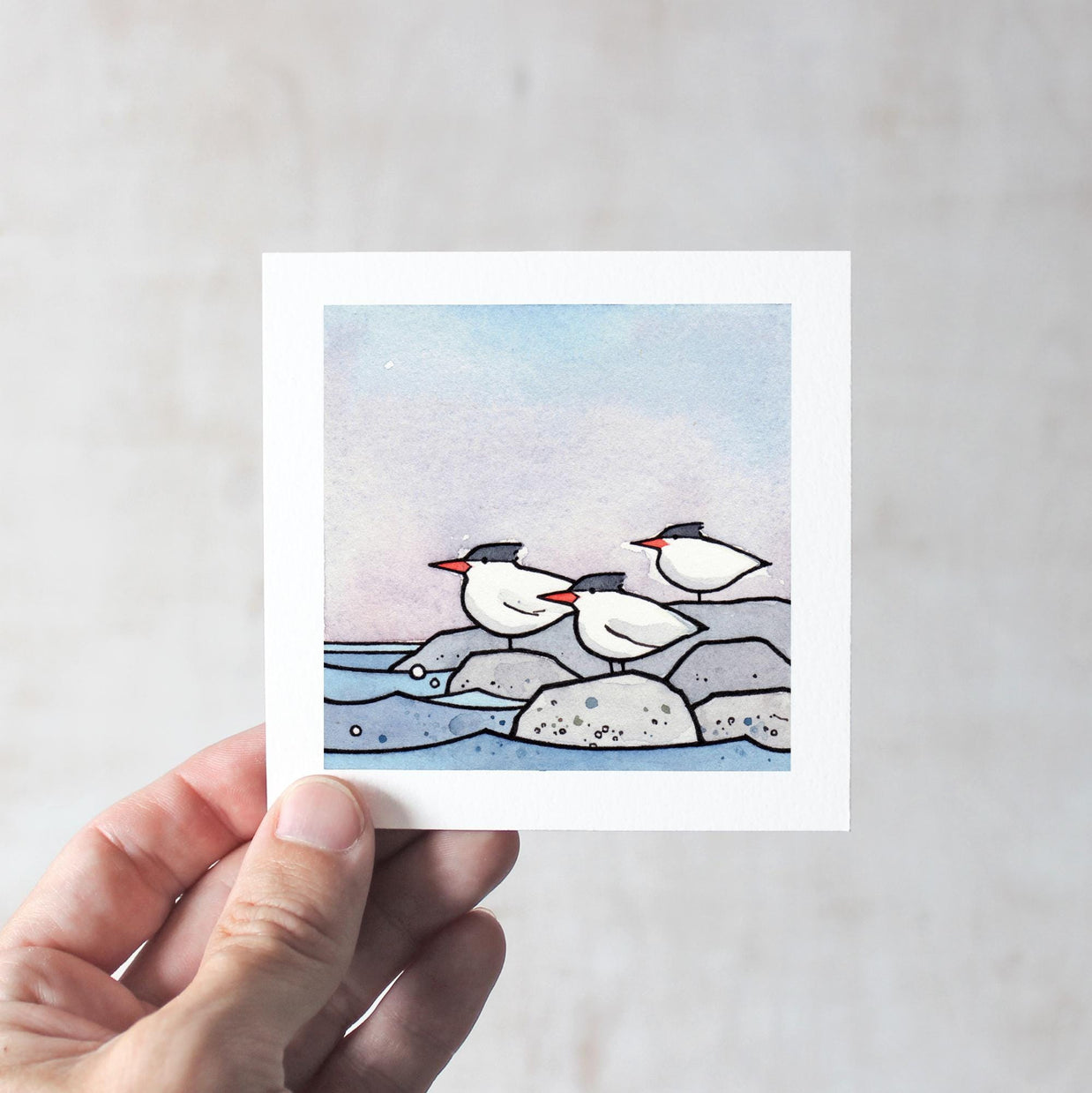 Terns Art Print