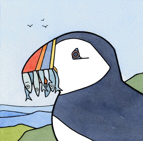 Puffin with Fish Print Illustration Coastal Maine Art