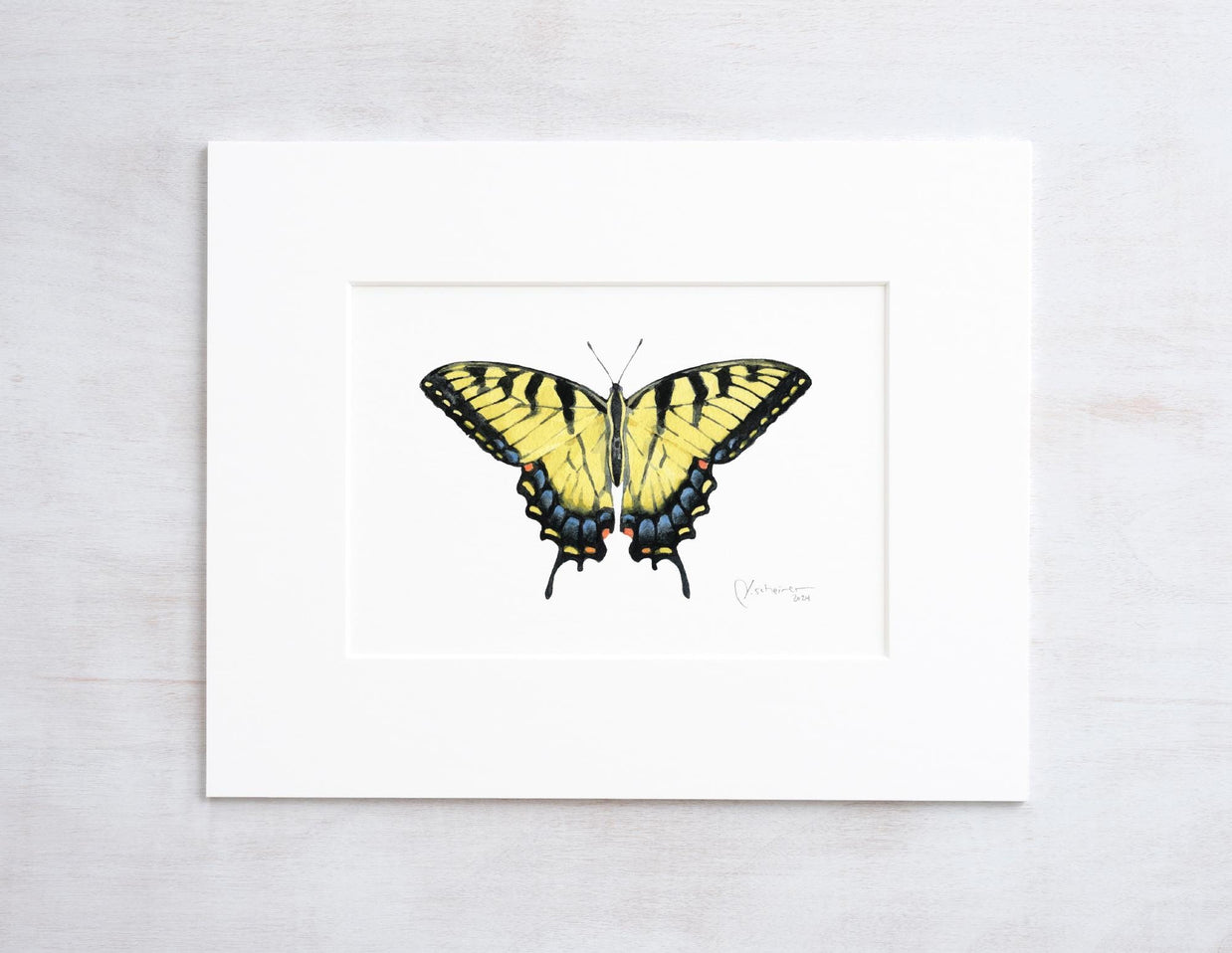 Eastern Tiger Swallowtail Butterfly Print