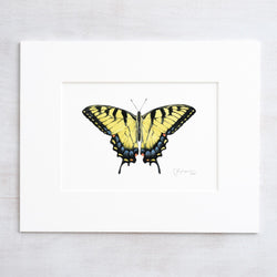 Eastern Tiger Swallowtail Butterfly Print