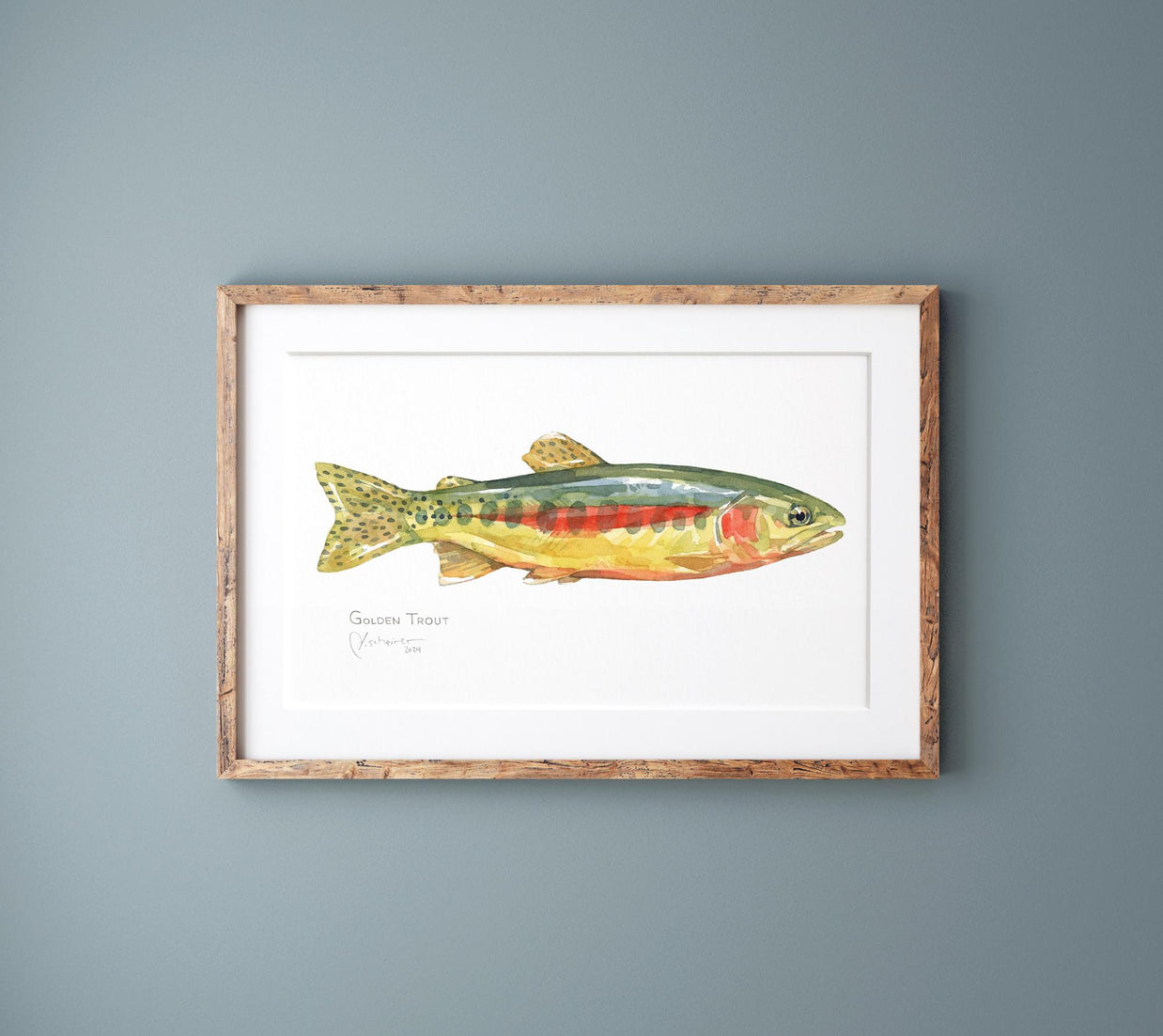 Golden Trout Print: