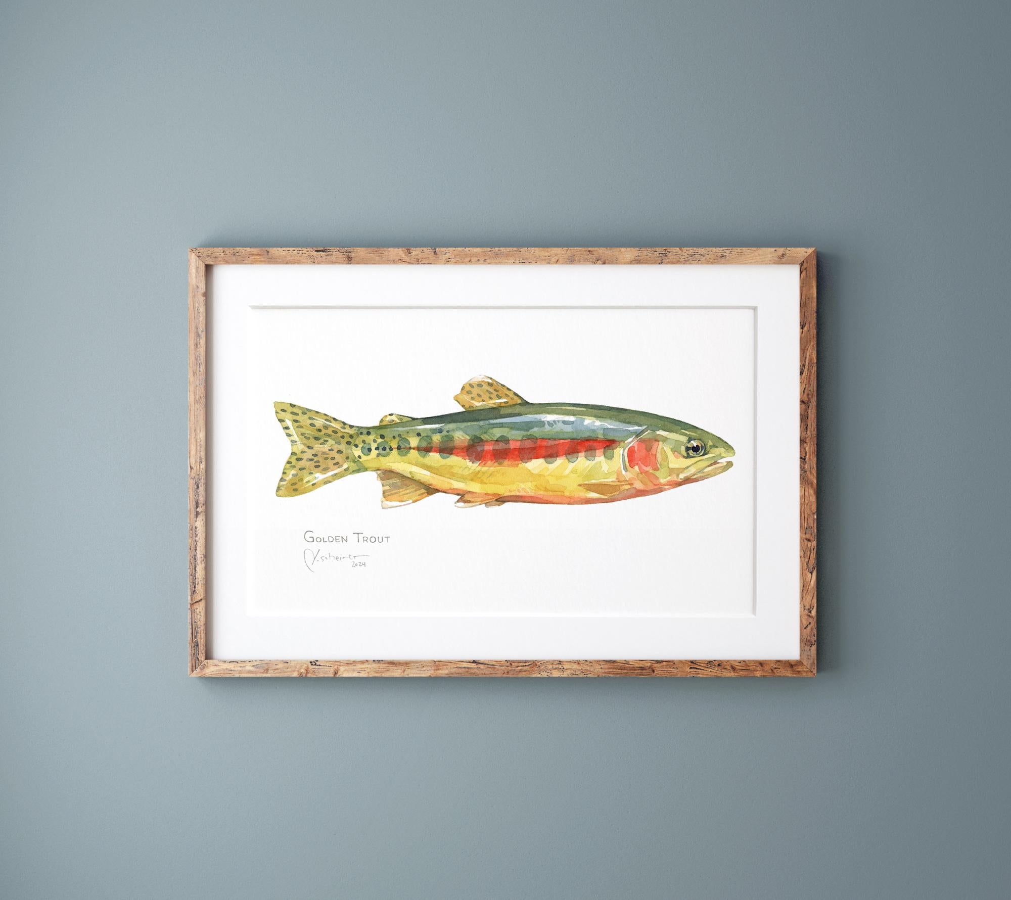 Golden Trout Print: