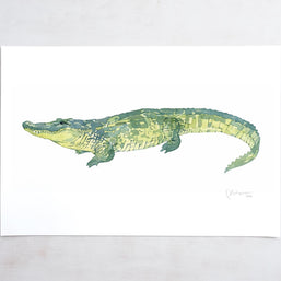 Alligator Print