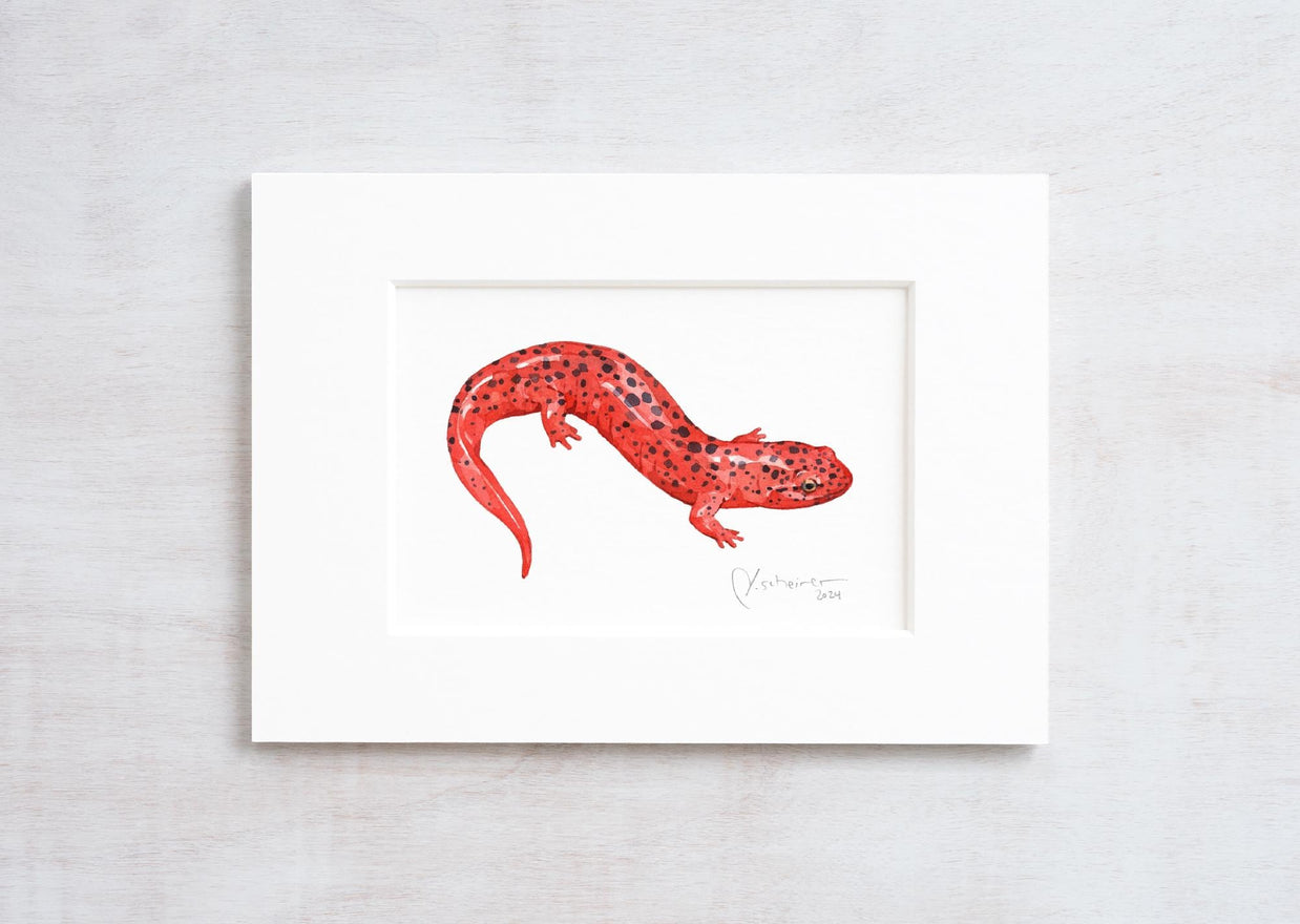 Red Salamander Print