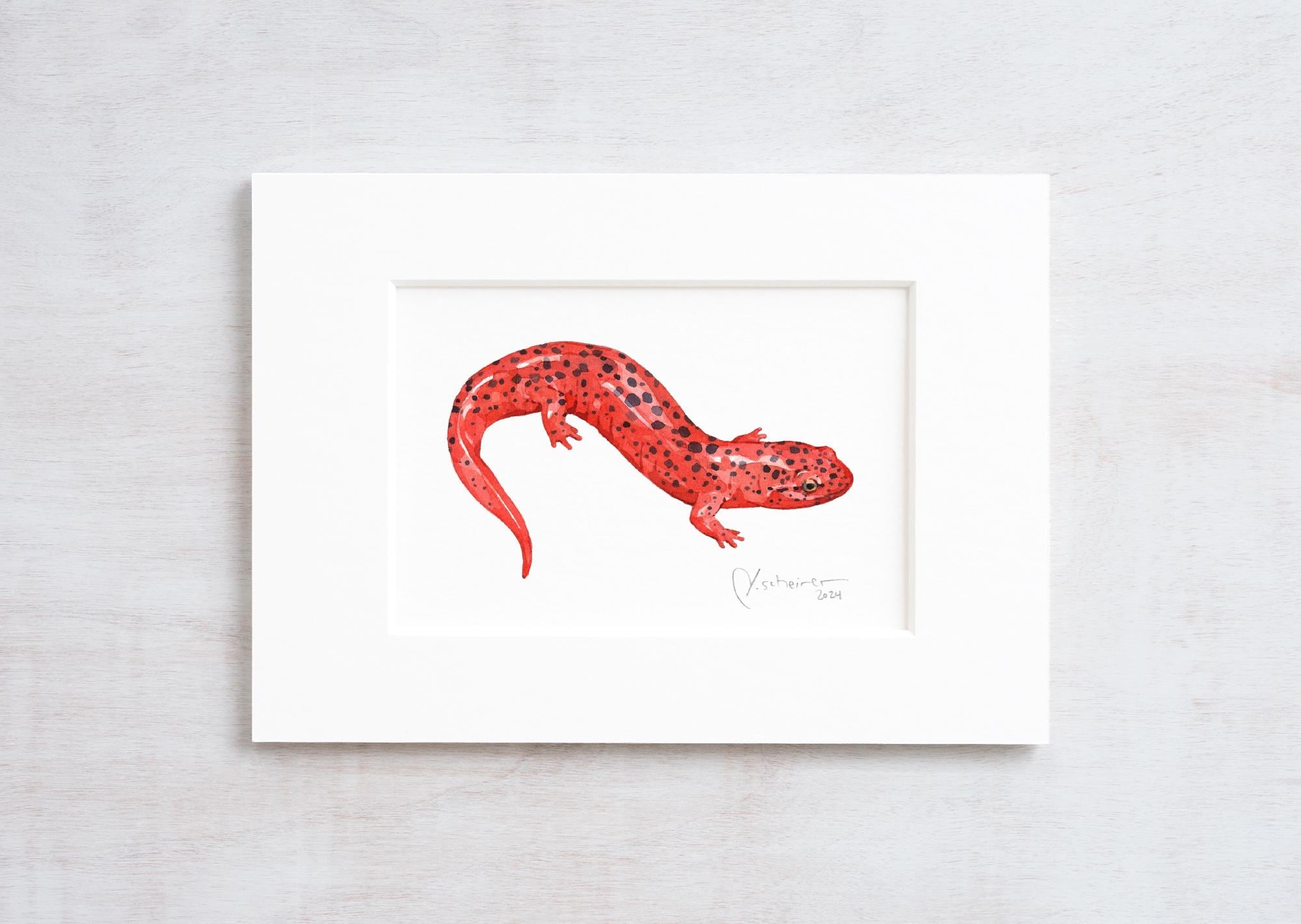 Red Salamander Print