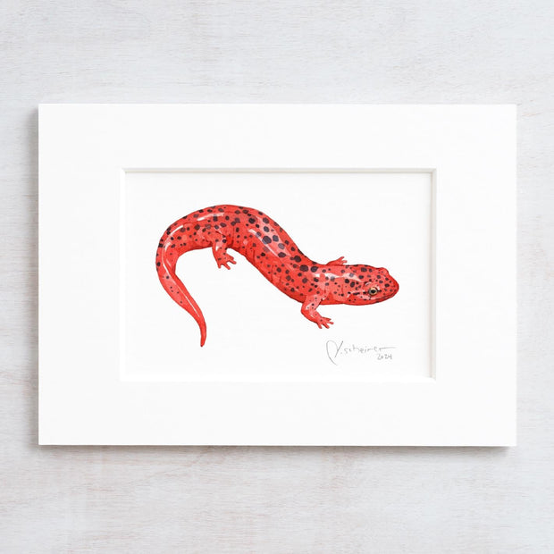 Red Salamander Print