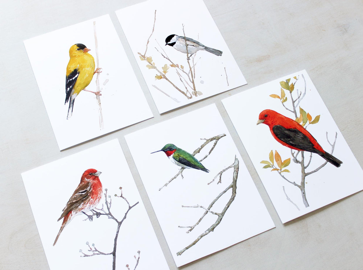 Mixed Bird Card Set II
