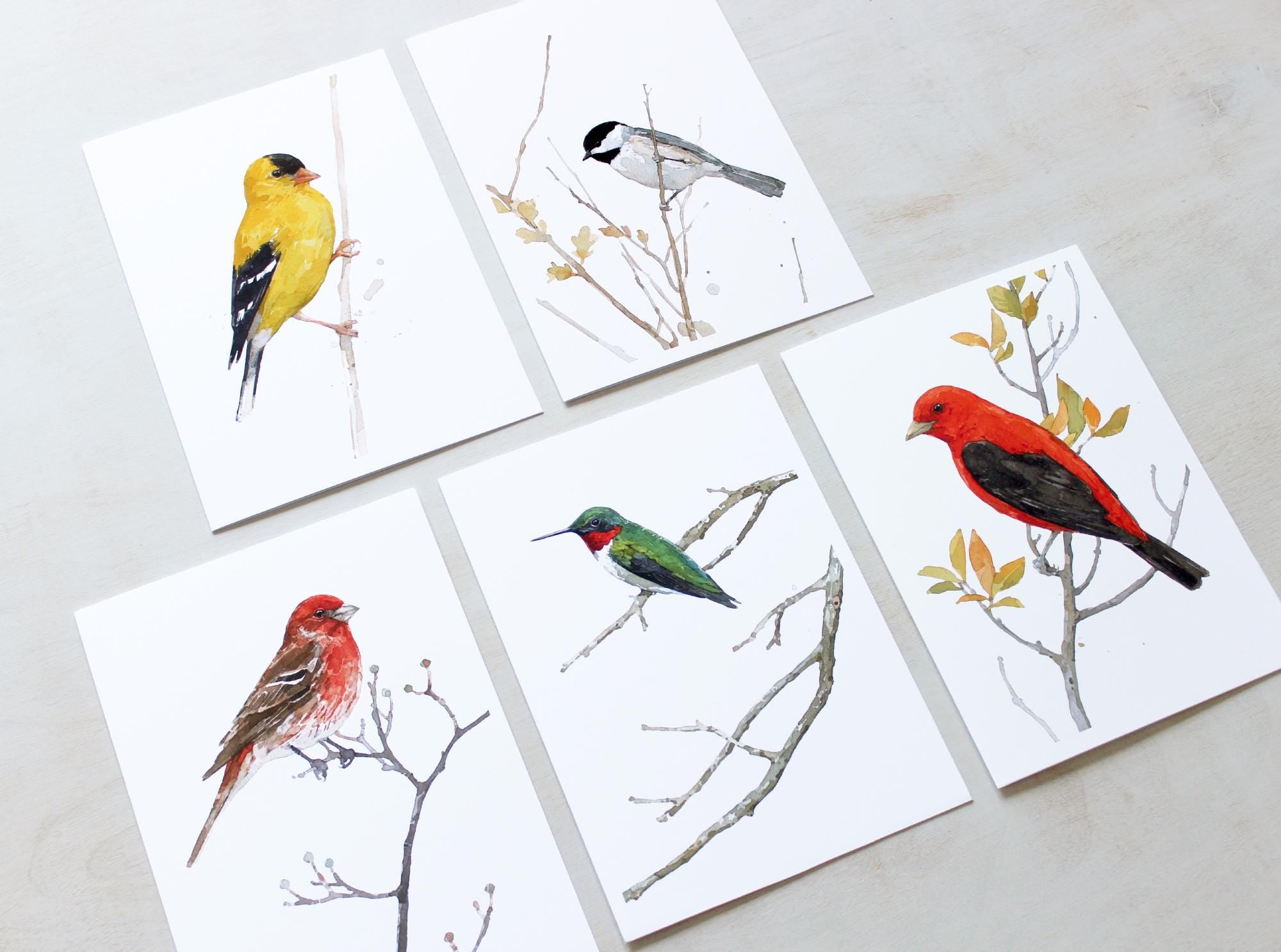 Mixed Bird Card Set II