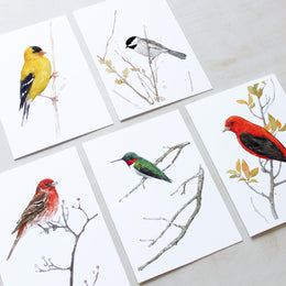 Mixed Bird Card Set II