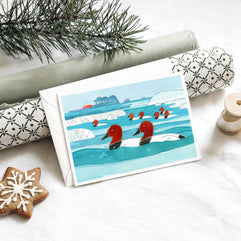 Canvasback Ducks Winter Holiday Card Set