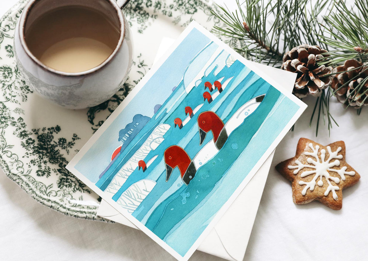 Canvasback Ducks Winter Holiday Card Set