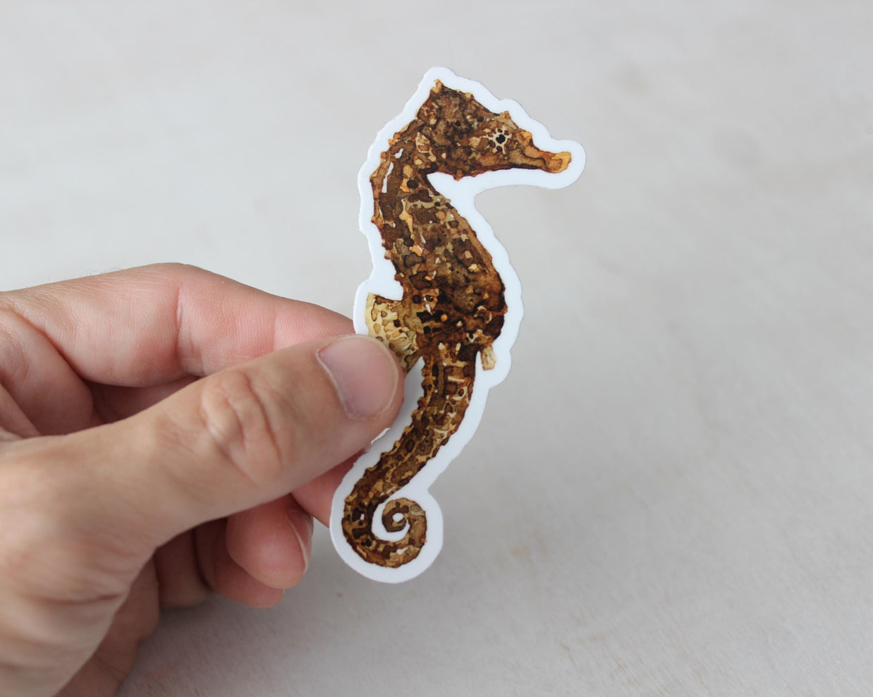 Seahorse Sticker