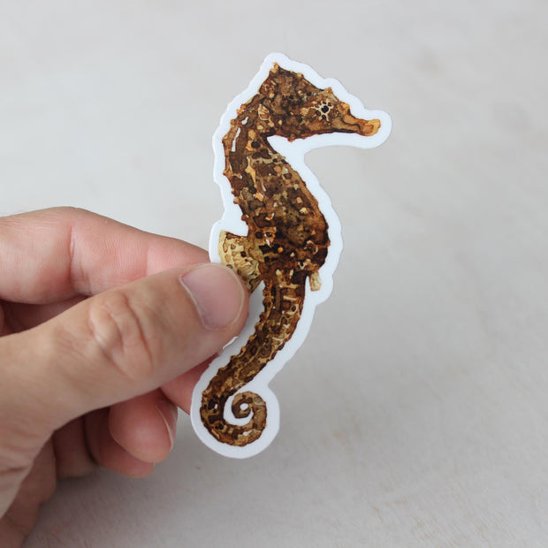 Seahorse Sticker