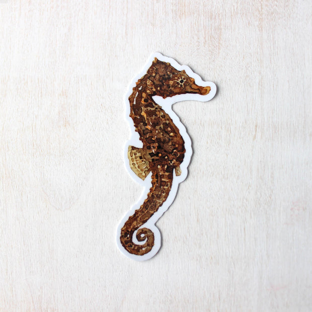 Seahorse Sticker