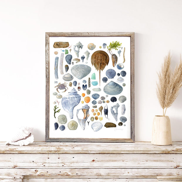Beachcombing Shells Chart Print