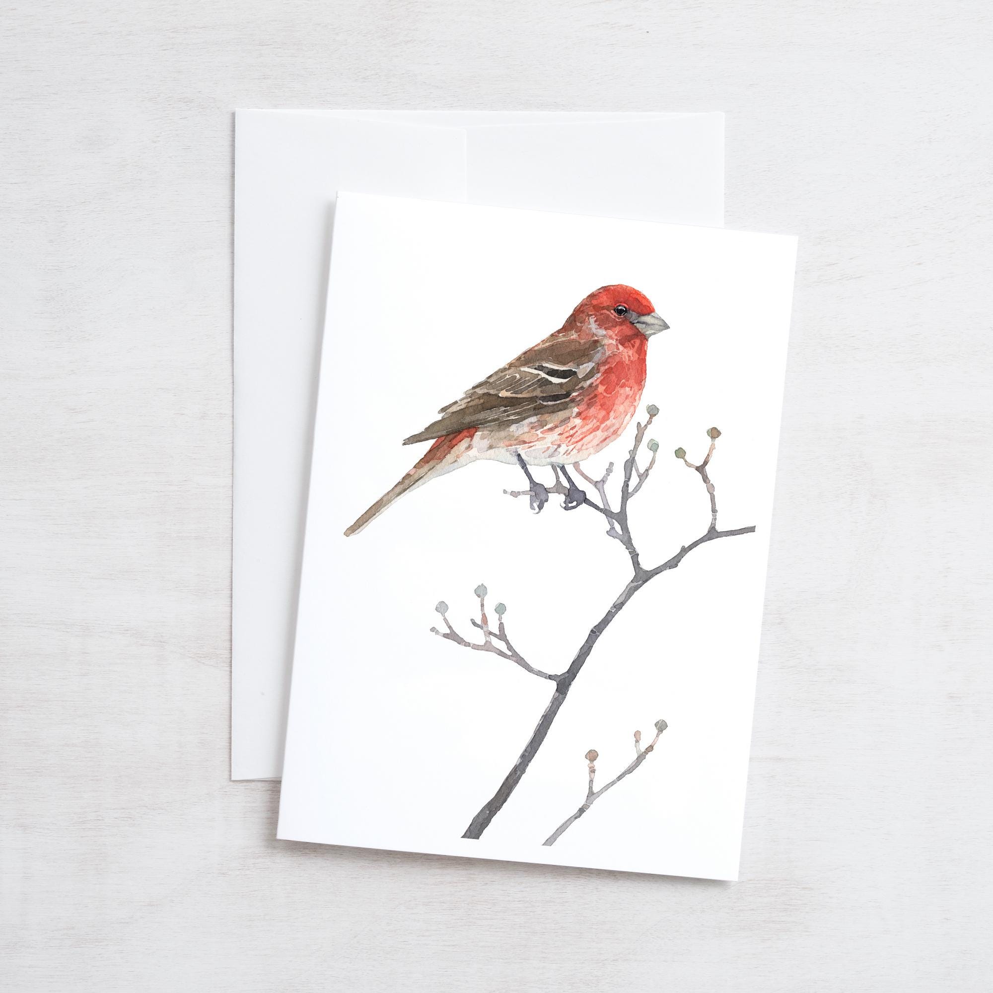 Mixed Bird Card Set II