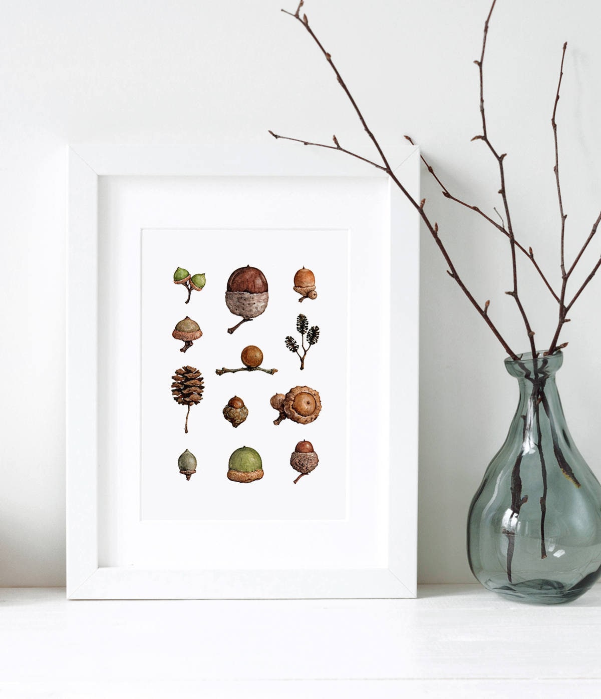 Acorns Art Print