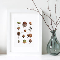 Acorns Art Print