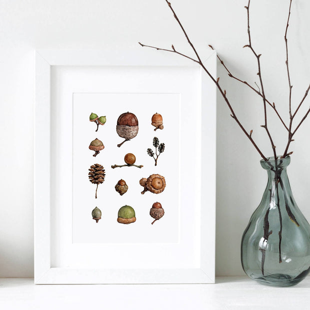 Acorns Art Print