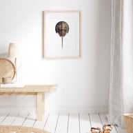 Horseshoe Crab Print