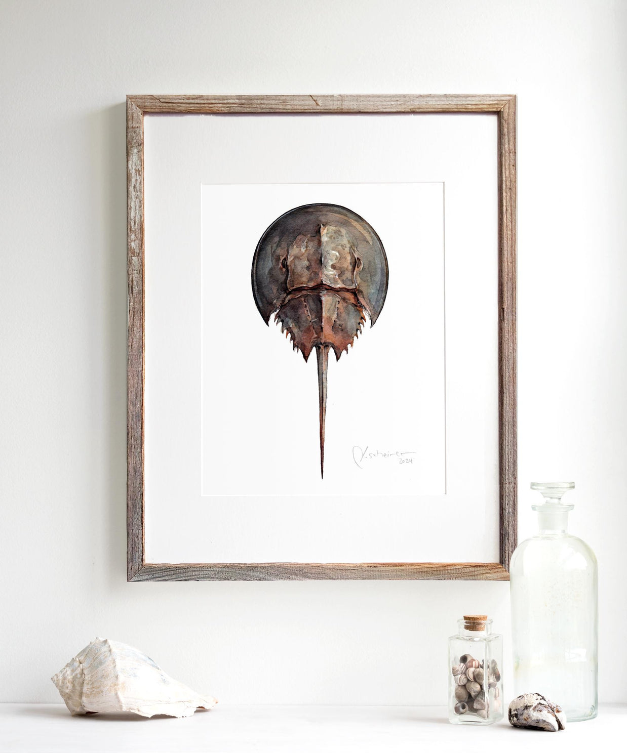 Horseshoe Crab Print